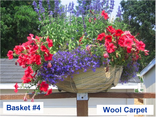 Image of planter lined with wool fiber (basket #4) from Harvest Park Middle School, Pleasanton, CA. Growth as of July 1st 2008.